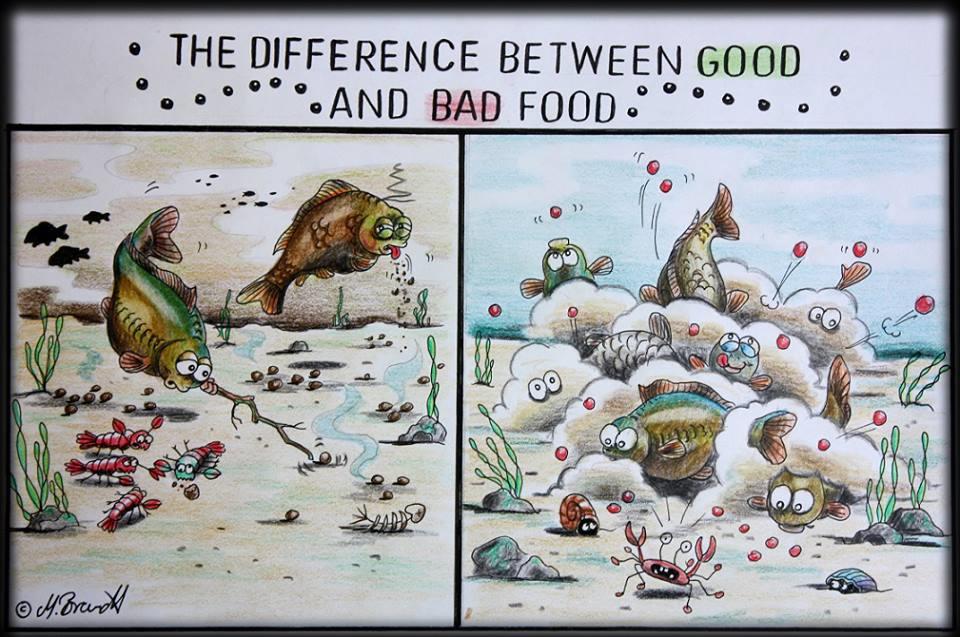 Carptoon - 13774976952163971746091160265499n.jpg